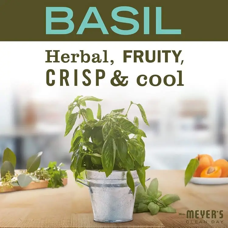 Refresh Your Hands with MRS. Meyer’s Basil Hand Soap